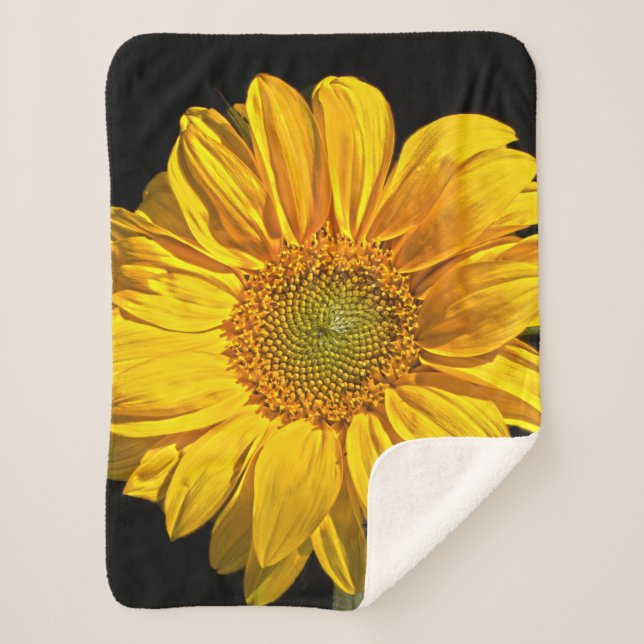 Manta Sherpa Girasol sba (Anverso)