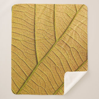 Manta Sherpa Golden yellow leaf pattern in the morning. 