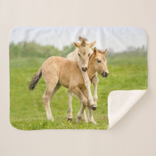 Manta Sherpa Graciosos Y Salvajes Terneros De Caballos De Konik