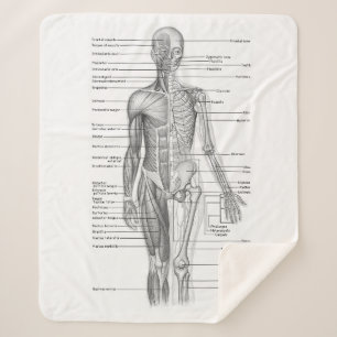 Manta Sherpa Gráfico médico de anatomía humana