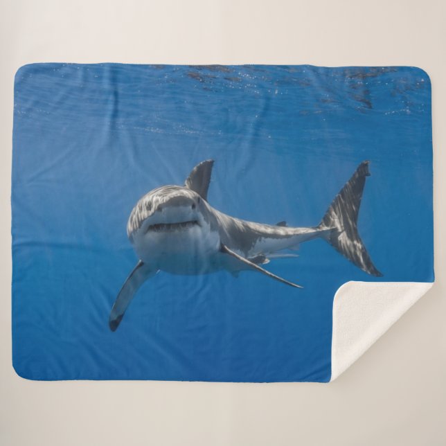 MANTA SHERPA GRAN TIBURA BLANCA (Anverso (horizontal))