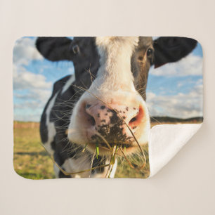 Manta Sherpa Granjas Mascado de vacas de Holstein