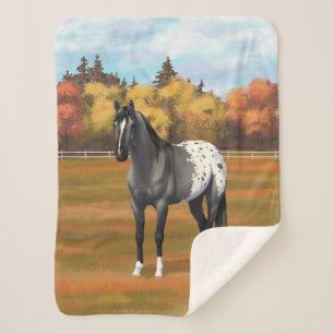 Manta Sherpa Gray Grulla Appaloosa Quarter Stallion