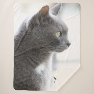Manta Sherpa Gray Kitty Cat