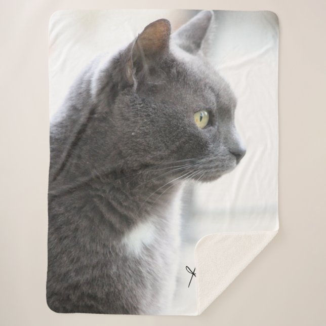 Manta Sherpa Gray Kitty Cat (Anverso)