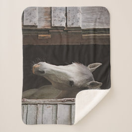 Manta Sherpa Gray Mare Horse Animals Sherpa Fleece Blanket