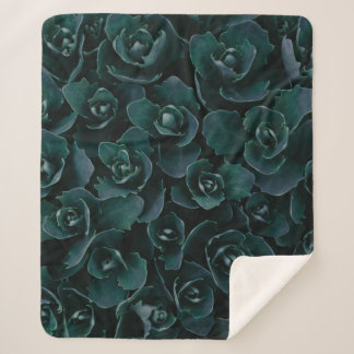 MANTA SHERPA GRAY PETAL FLOWER IN BLOOM