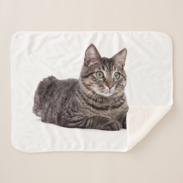 Manta Sherpa Gray Tabby Cat (Anverso (horizontal))