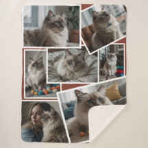 Grupo fotográfico Brown - 7 fotos dispersas