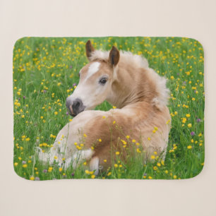 Manta Sherpa Haflinger Caballo de Haflinger descansando en un l