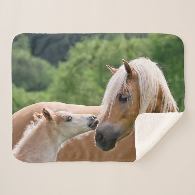 Manta Sherpa Haflinger cute de comida de caballos y mamá besánd (Anverso (horizontal))