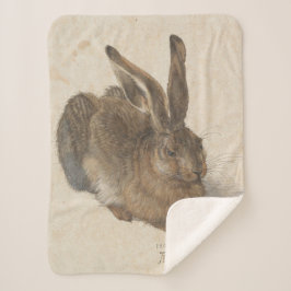 Manta Sherpa Hare (de Albrecht Dürer)
