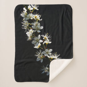 Manta Sherpa Hawthorn Flowers sbcnm