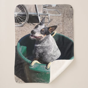 Manta Sherpa Heeler azul