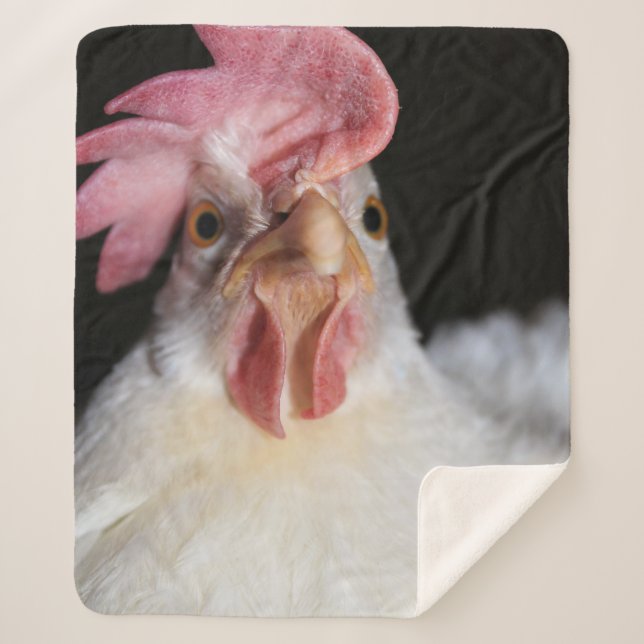 Manta Sherpa Hen (Anverso)