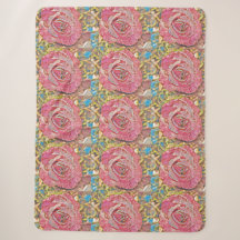 Hermosa pintura de rosa rosa de verano