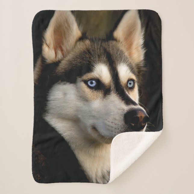 Manta Sherpa Hermoso Cojín decorativo Husky (Anverso)
