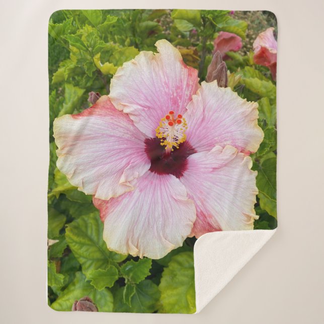 Manta Sherpa Hibiscus Photographo Blanket (Anverso)
