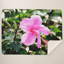 Manta Sherpa Hibiscus Pink Tropical Vivid
