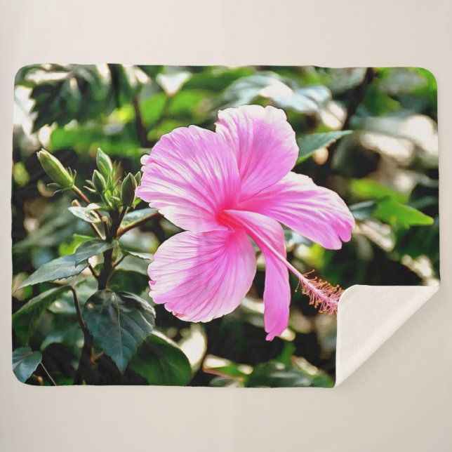 Manta Sherpa Hibiscus Pink Tropical Vivid (Anverso (horizontal))