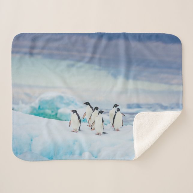 Manta Sherpa Hielo y nieve | Adelie Penguins Antártida (Anverso (horizontal))