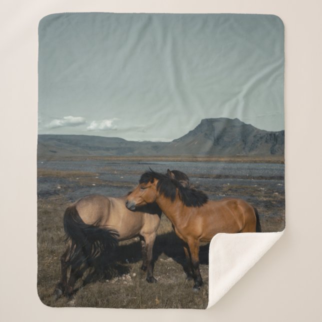 MANTA SHERPA HORSE COUPLE (Anverso)