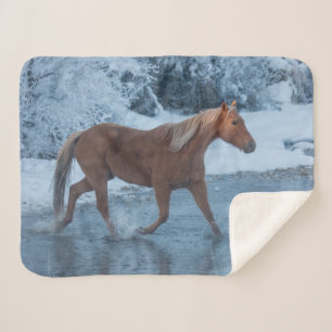 Manta Sherpa Horse Drive in Winter on Hideout Ranc