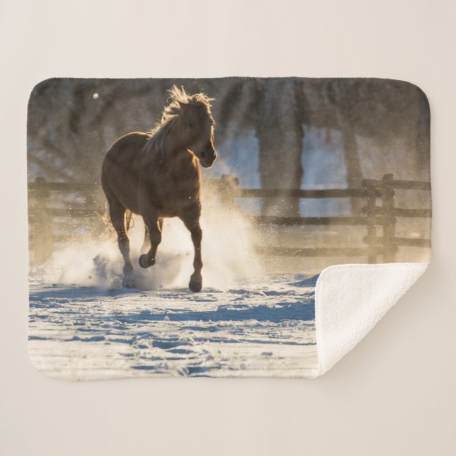 Manta Sherpa Horse Running Through the Snow (Anverso (horizontal))