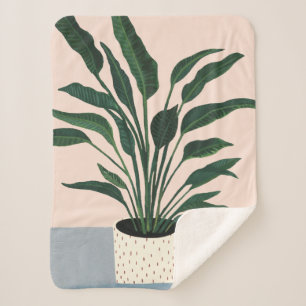 Manta Sherpa Houseplant