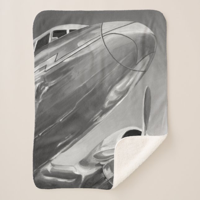 Manta Sherpa Icono de aviación: vista de cierre (Anverso)