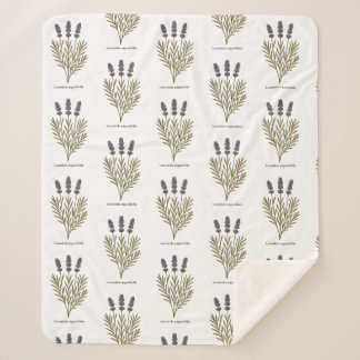 Manta Sherpa Ilustracion de flores de lavanda de época