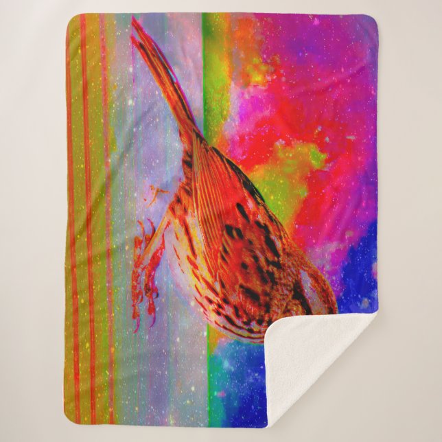 Manta Sherpa Impresión artística de ensueño de aves cósmicas" (Anverso)