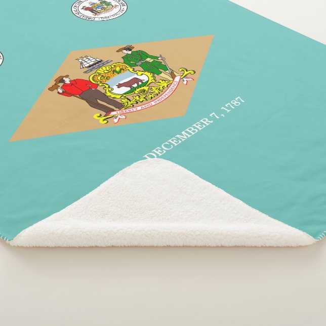 Manta Sherpa Indicador Delaware (3/4)