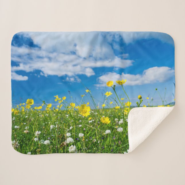 Manta Sherpa isla de Sudamérica | Escocia (Anverso (horizontal))