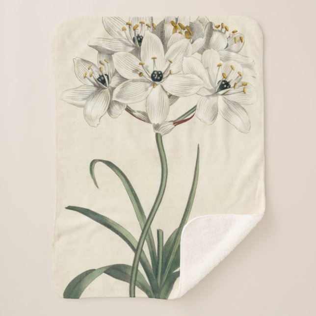 Manta Sherpa Ivory Garden (Anverso)