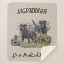 Jagdterrier, Bo contra Renbrad Kennel". Pegatina P