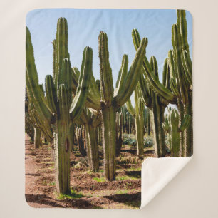 Manta Sherpa Jardín Cacti. Cactus altos verdes y suculentas cre