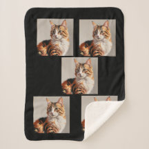 Jazmín, pintura del gato Calico