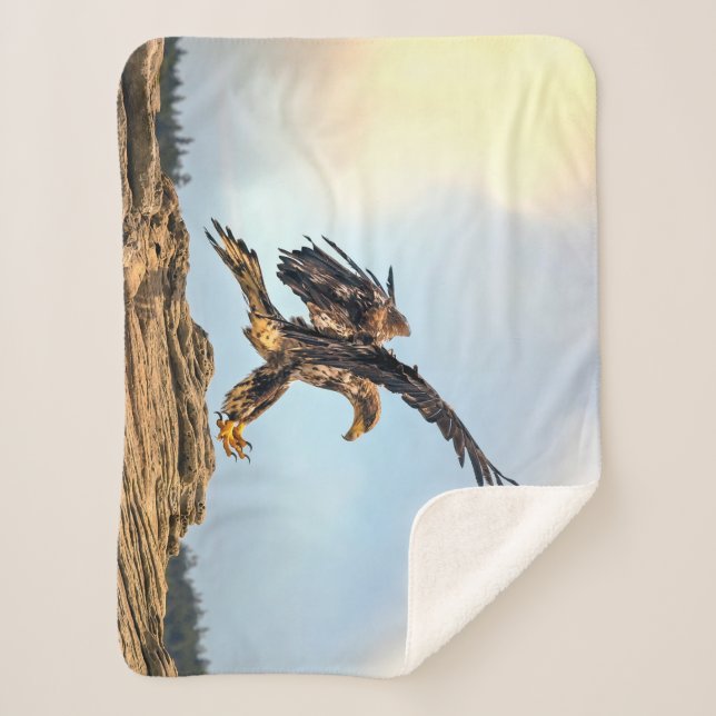 Manta Sherpa Juvenile Bald Eagle practicando sus habilidades de (Anverso)