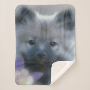 Manta Sherpa Keeshond y Columbine - Fotografía de perro