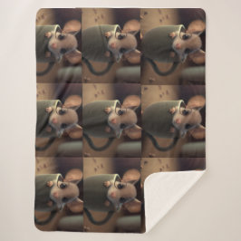 Manta Sherpa Kids/Babyshower Gift Cute Blanket