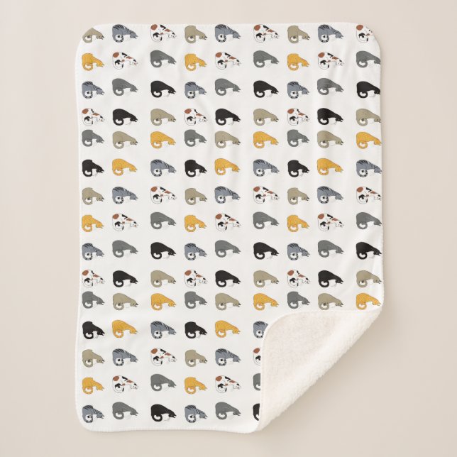 Manta Sherpa Kitty Cats Bowl (Anverso)