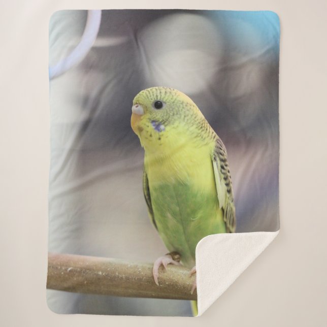 Manta Sherpa Kiwi Burbell (Anverso)