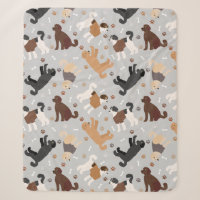 Labradoodle / Goldendoodle Bones y Paws Sherpa B