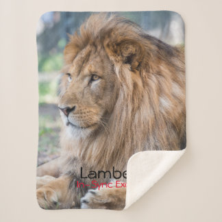 Manta Sherpa Lámbar -