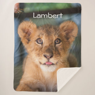 Manta Sherpa Lambert