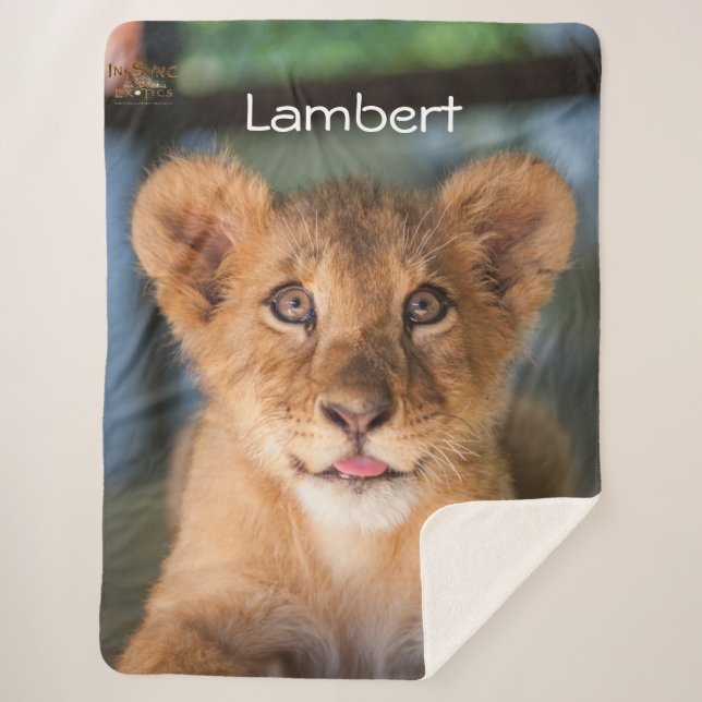 Manta Sherpa Lambert (Anverso)