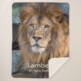 Manta Sherpa Lambert -