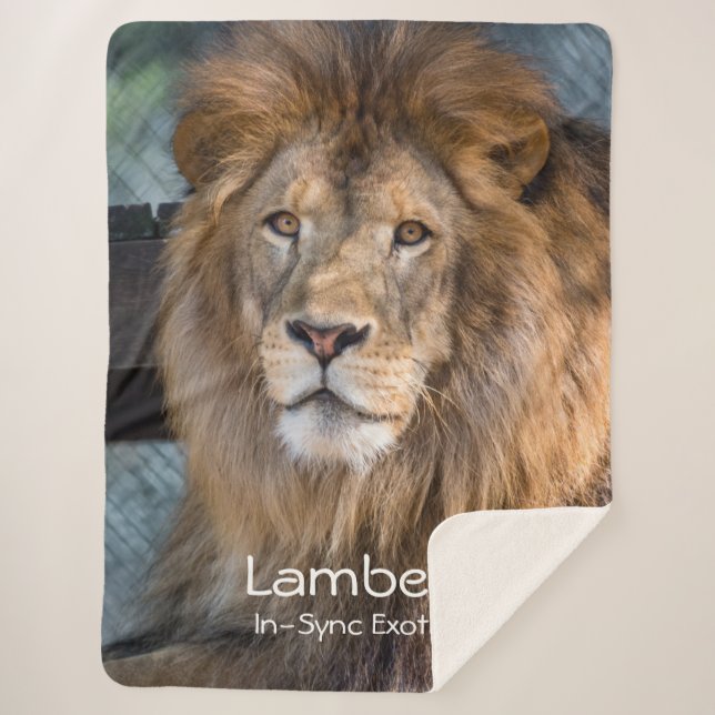 Manta Sherpa Lambert -  (Anverso)