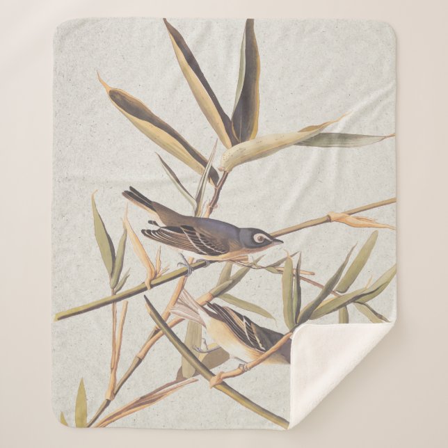 Manta Sherpa Las aves solitarias del Vireo Flycatcher de Audubo (Anverso)